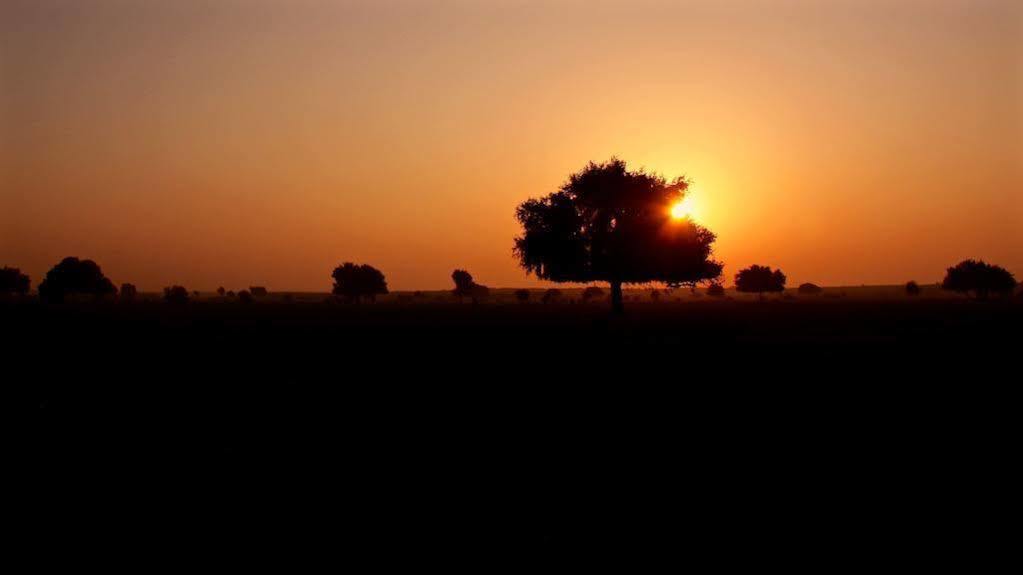 Damodra Desert Camp Jaisalmer Ngoại thất bức ảnh