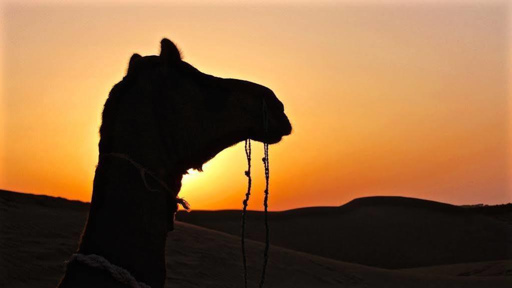 Damodra Desert Camp Jaisalmer Ngoại thất bức ảnh
